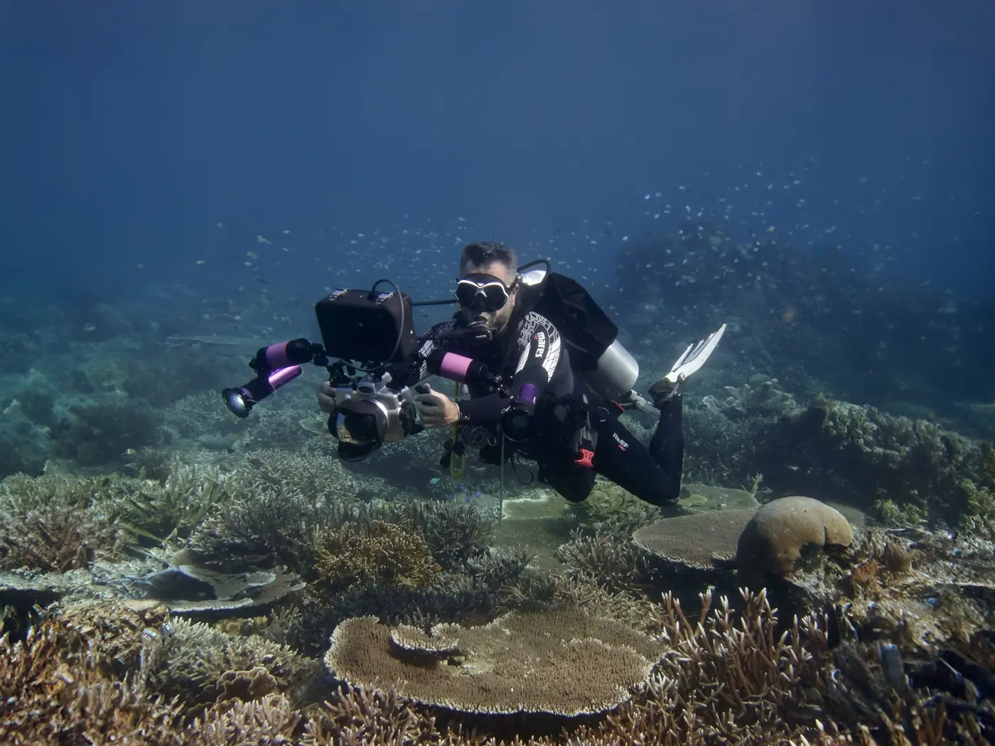 Karlos Simón filma un arrecife de coral con su cámara submarina
